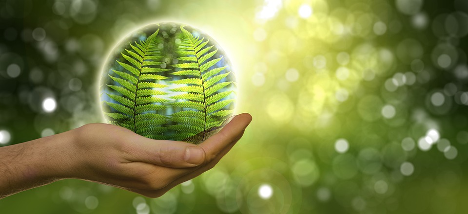 Tips ecológicos para nuestros edificios